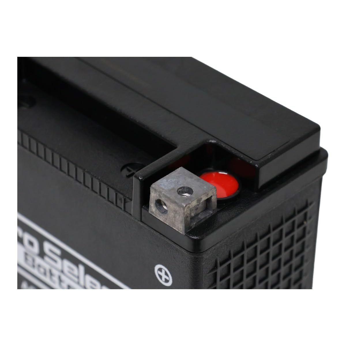 Amazon.co.jp: プロセレクト ハーレー専用 バイクバッテリー YTX20L-BS